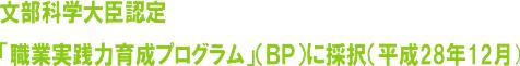 「職業実践力育成プログラム」（ＢＰ）に採択（平成28年12月）